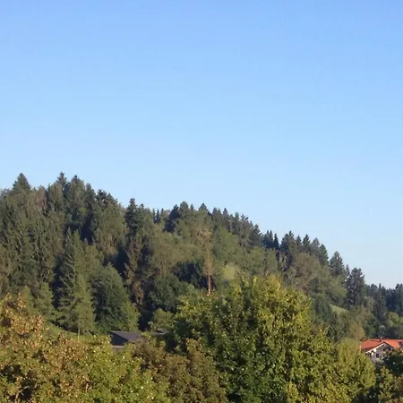 Bergzeit Apartment *